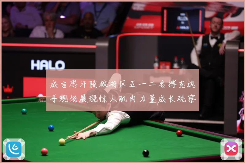 成吉思汗陵旅游区五一二名搏克选手现场展现惊人肌肉力量成长观察