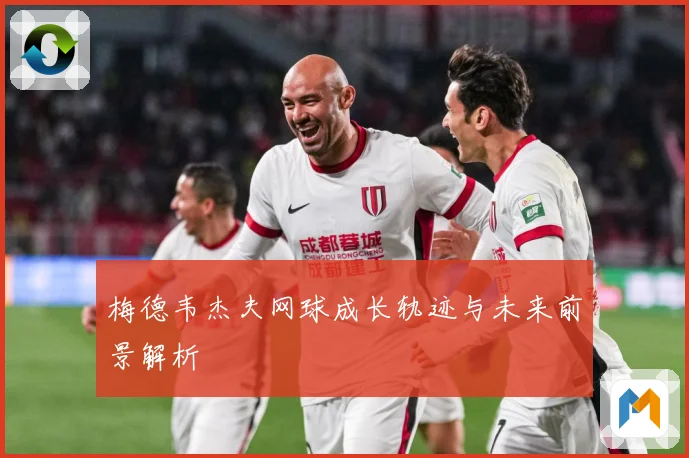 梅德韦杰夫网球成长轨迹与未来前景解析