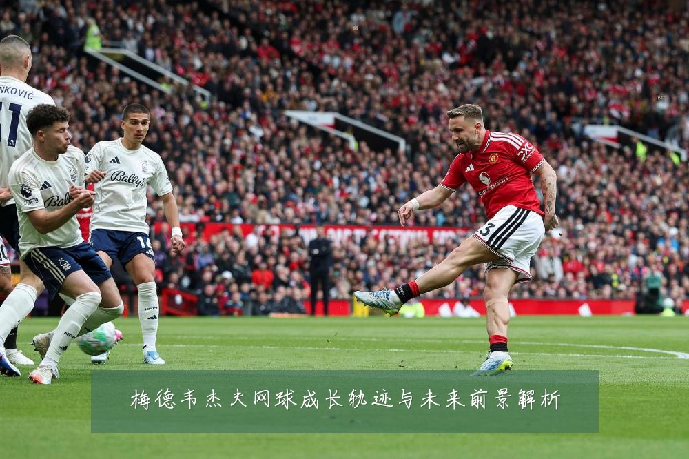 梅德韦杰夫网球成长轨迹与未来前景解析